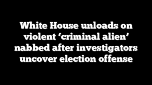 White House unloads on violent ‘criminal alien’ nabbed after investigators uncover election offense