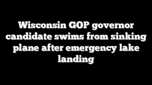 Wisconsin GOP governor candidate swims from sinking plane after emergency lake landing