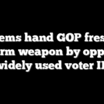 Dems hand GOP fresh midterm weapon by opposing widely used voter ID