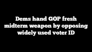 Dems hand GOP fresh midterm weapon by opposing widely used voter ID