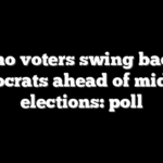 Latino voters swing back to Democrats ahead of midterm elections: poll