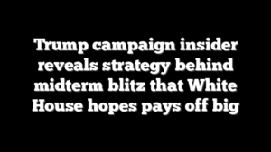 Trump campaign insider reveals strategy behind midterm blitz that White House hopes pays off big