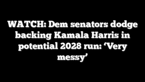 WATCH: Dem senators dodge backing Kamala Harris in potential 2028 run: ‘Very messy’